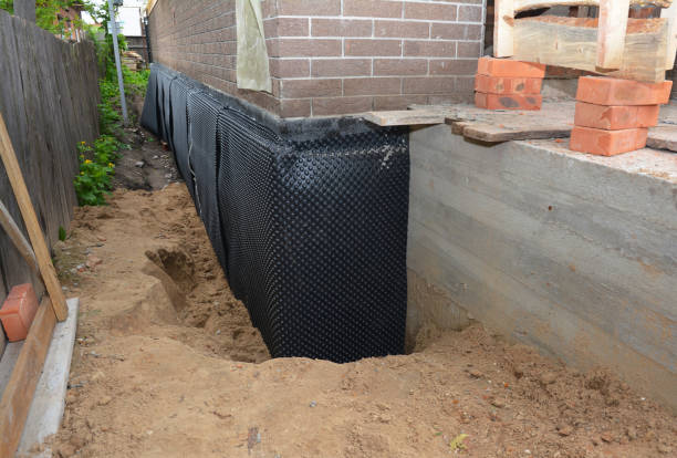 SJ Waterproofing Pros technician performing targeted Waterproofing assessment in Princeton, NC